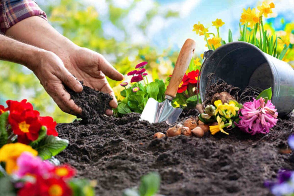 How to Find Garden Soil at Home Depot Thedailyengage